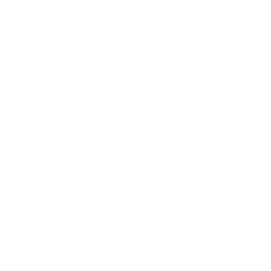 Seat belt Saves Icon