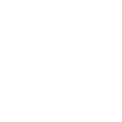 Speeding Citation Icon
