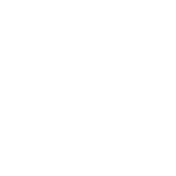 icon-speed-limit